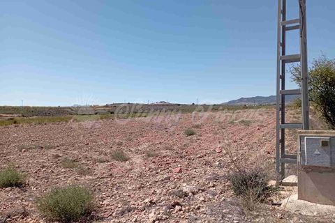 Helårsgrund i Pinoso, Alicante, Pinoso - € 39.000 | Ref: SF0515 - foto 3